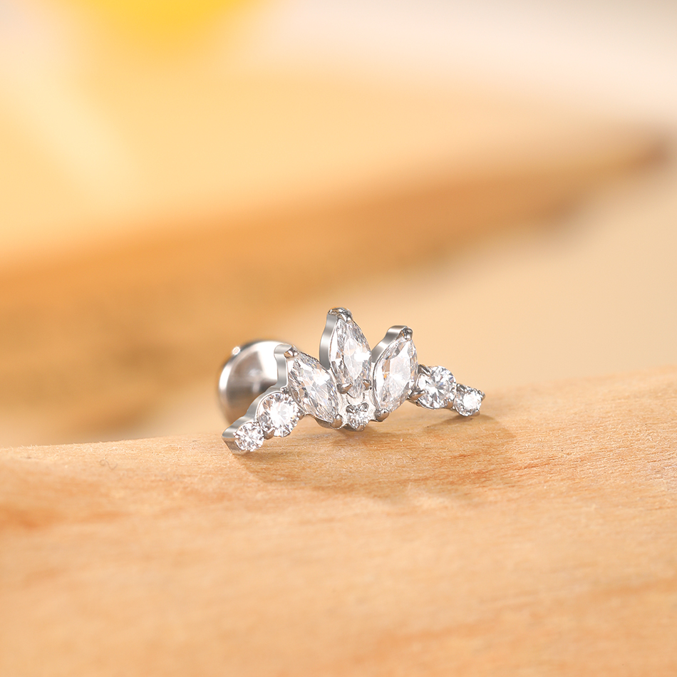 1PC Titanium Zirconia Dolphin  - огляд і ціна Body Jewelry Labret