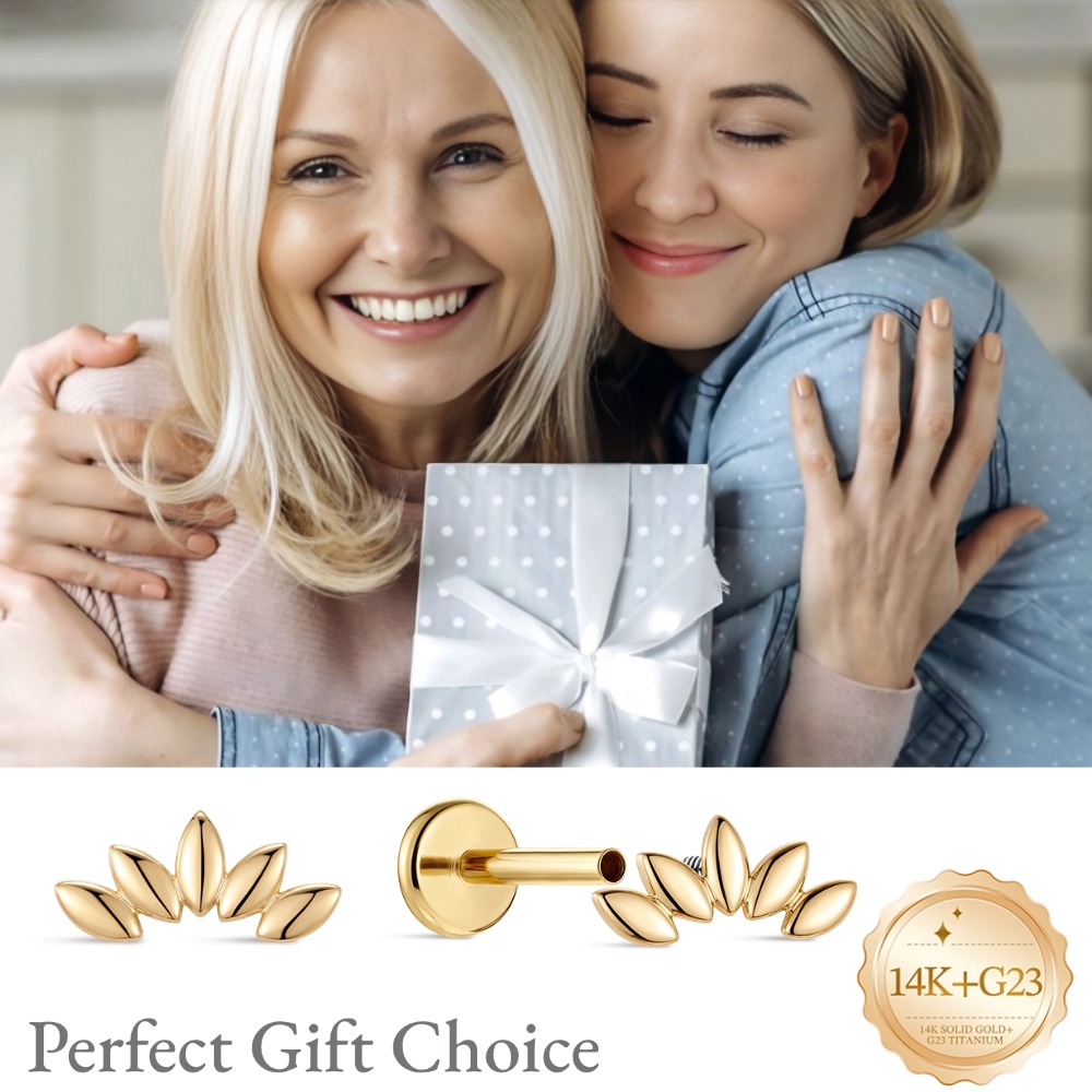 DIeSchein 14K Solid Gold Stud  - огляд і ціна Body Jewelry Hypoallergenic