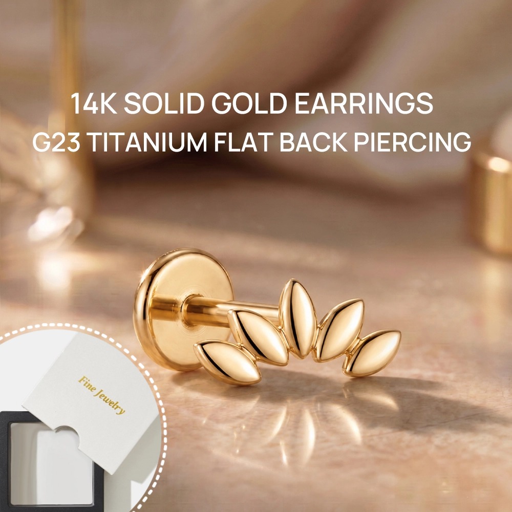 DIeSchein 14K Solid Gold Stud  - огляд і ціна Body Jewelry Hypoallergenic